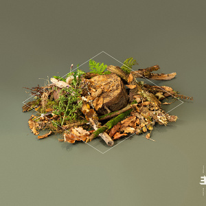 CD Fergus McCreadie Trio - Forest Floor