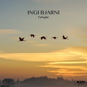 CD / LP Ingi Bjarni – Farfuglar