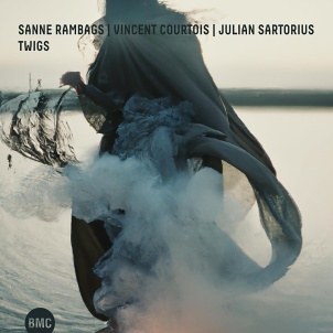 CD Sanne Rambags - Vincent Courtois - Julian Sartorius: Twigs