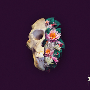 CD Verneri Pohjola – Monkey Mind