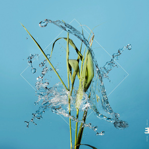 CD Fergus McCreadie - Stream