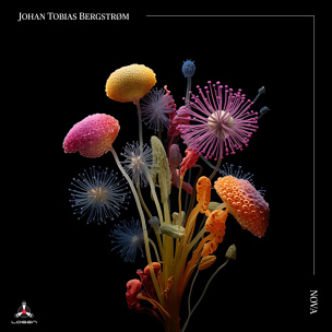 CD Johan Tobias Bergstrøm – Nova
