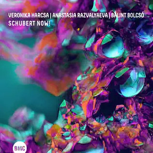 CD Veronika Harcsa / Anastasia Razvalyaeva / Bálint Bolcsó – Schubert NOW!
