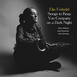 CD / LP Elin Forkelid – Songs to Keep You Company on a Dark Night
