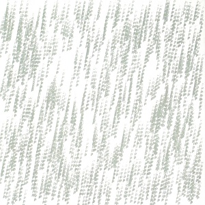 CD Pepa Päivinen Peacepipe - Vihmoo